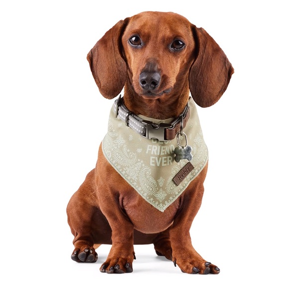Reddy Other - Reddy // BFF Dog Cat Bandana, X-Small/Small, Olive Green *3/$13*